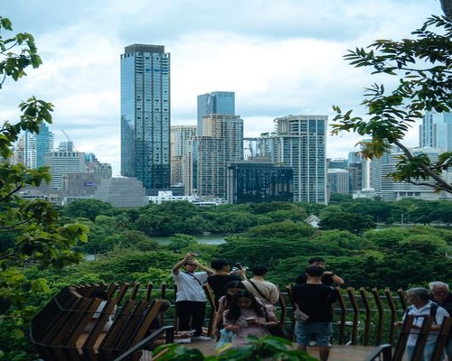 A peaceful walk in Lumpini park with lush greenery and the Bangkok skyline in the background